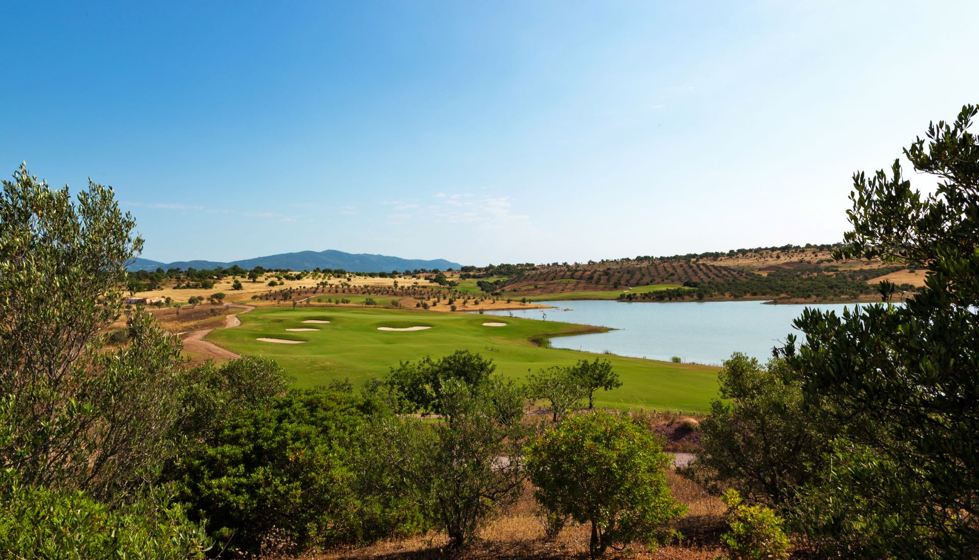 Alamos golf course 01