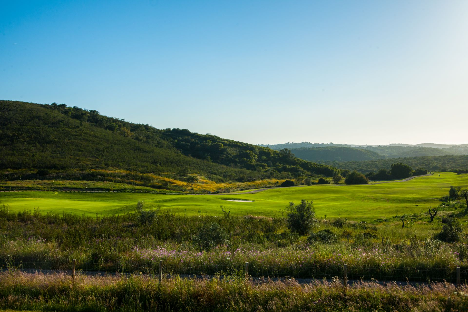Alamos golf course 02