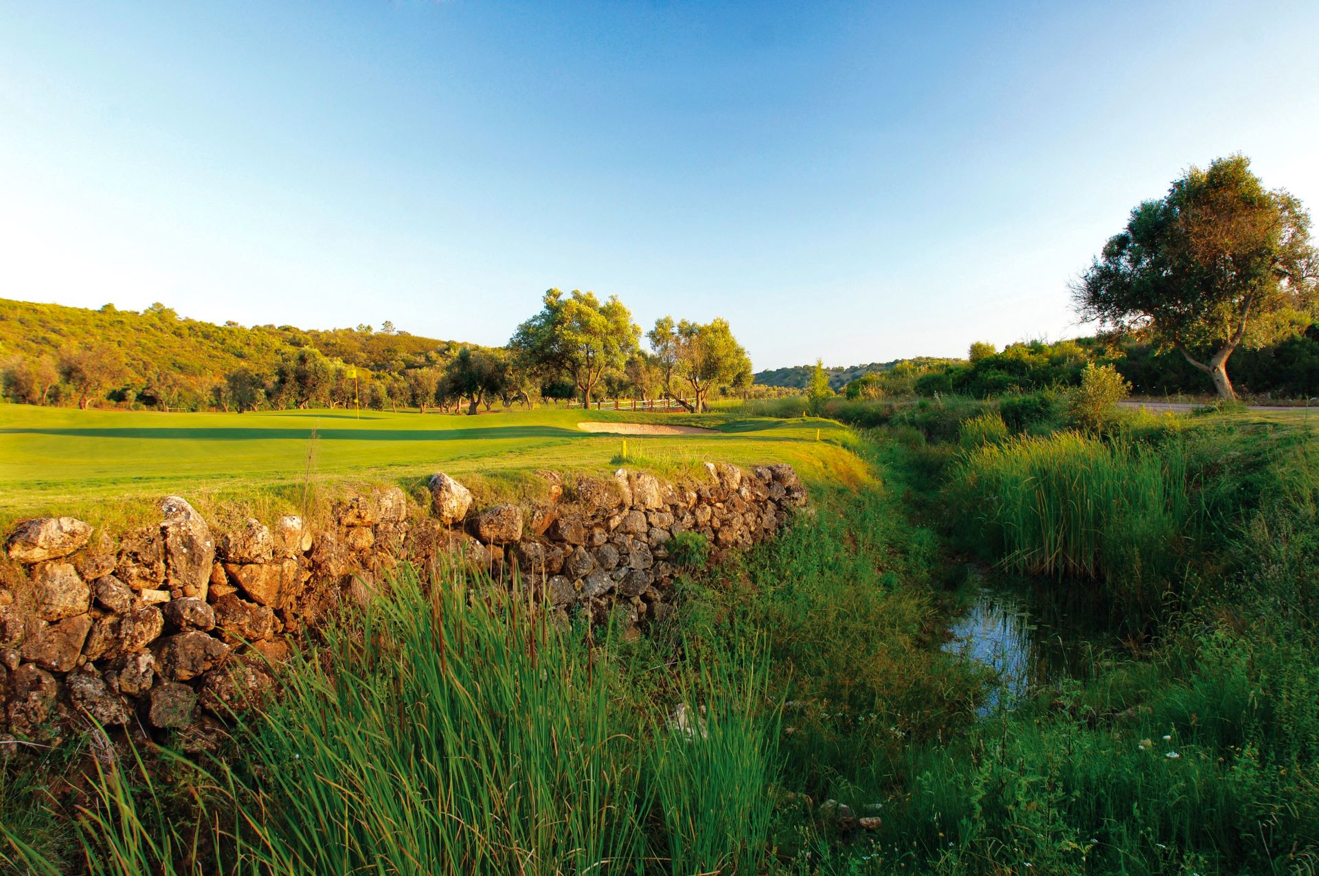 Alamos golf course 04