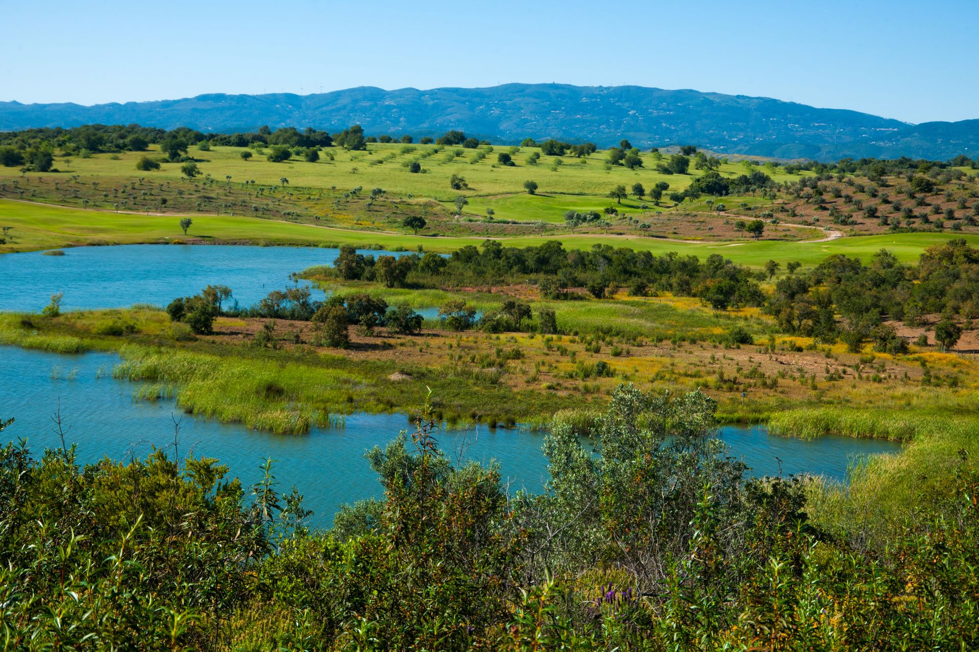 Alamos golf course 09