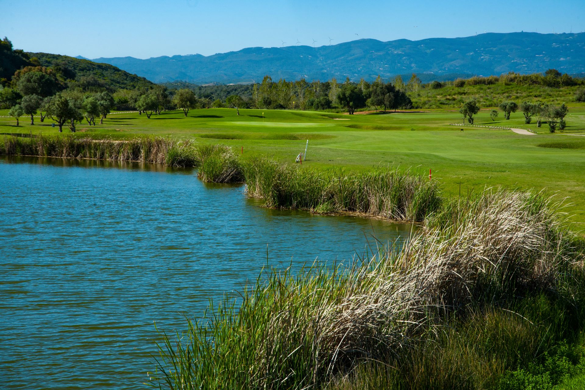 Morgado golf course 07