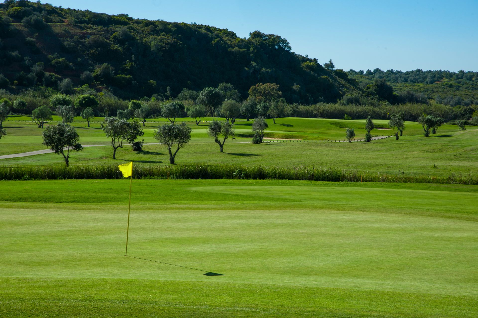 Morgado golf course 08