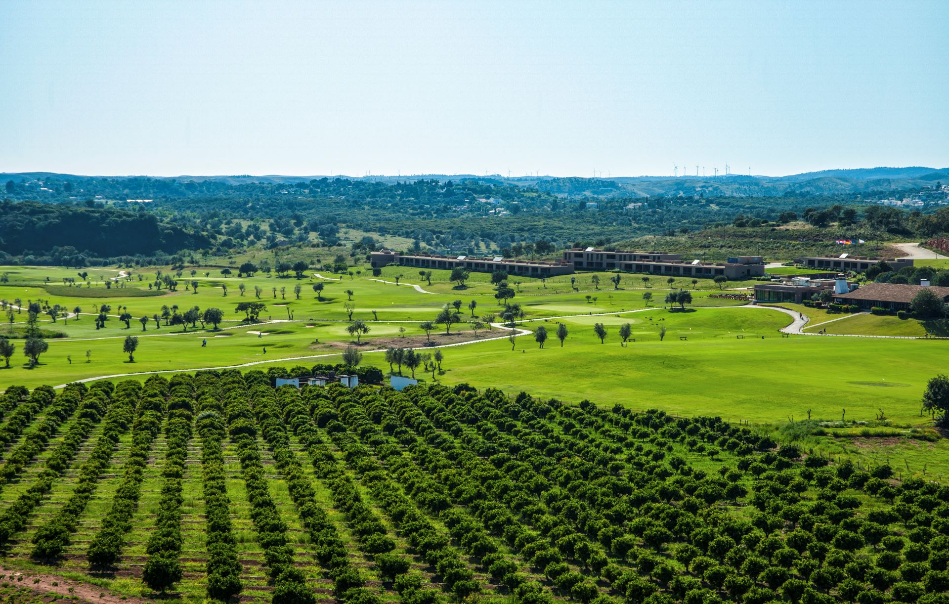 Morgado golf course 14