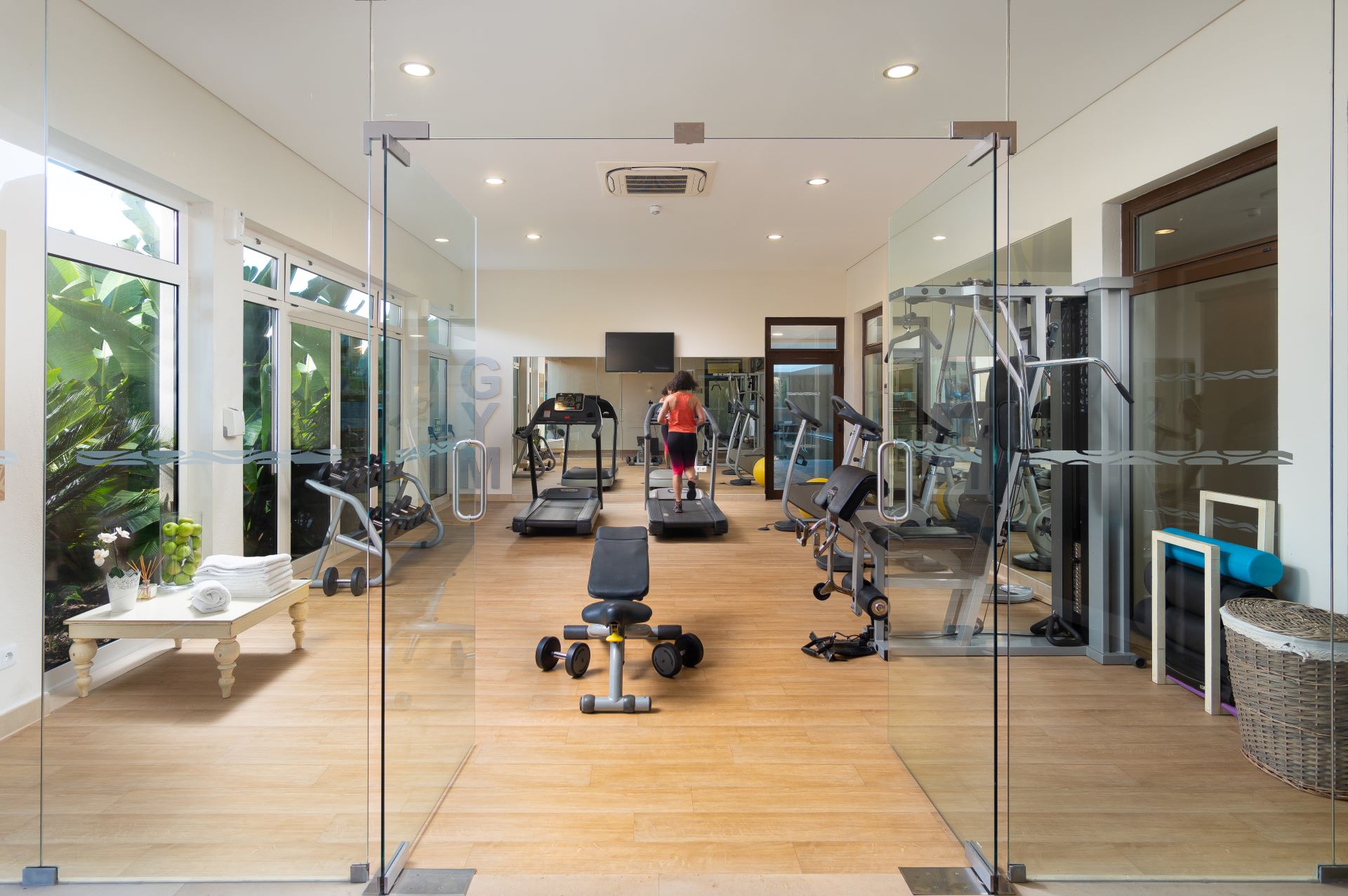 Msr gym